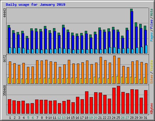 Daily usage for January 2019