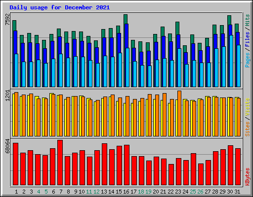 Daily usage for December 2021