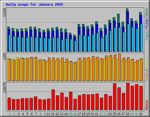 Daily usage for January 2022