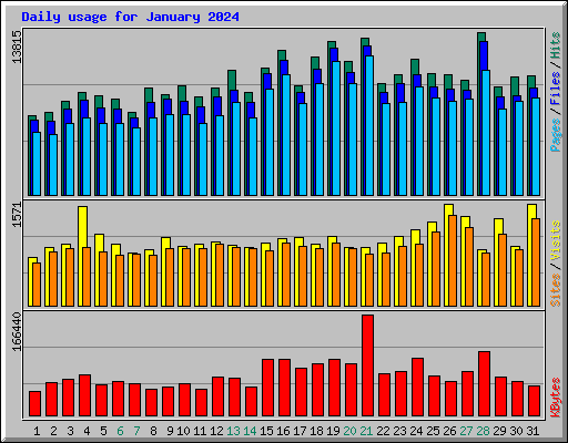 Daily usage for January 2024