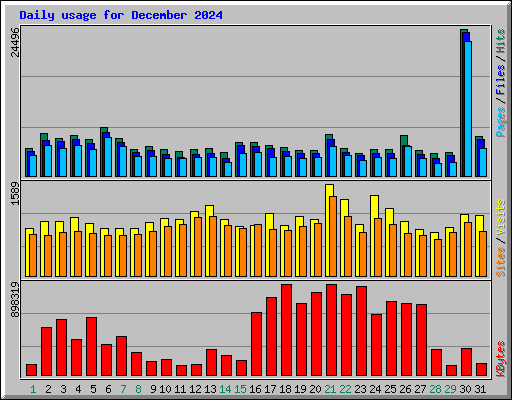 Daily usage for December 2024