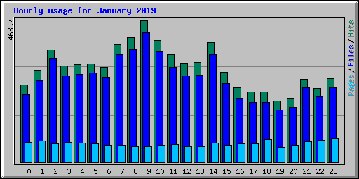 Hourly usage for January 2019