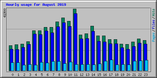 Hourly usage for August 2019