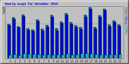 Hourly usage for December 2019