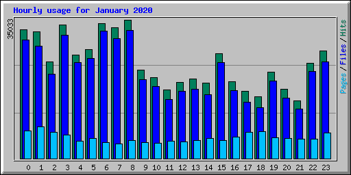 Hourly usage for January 2020