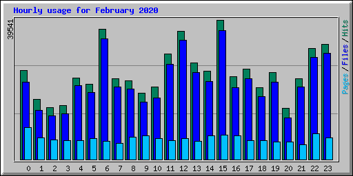 Hourly usage for February 2020
