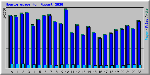 Hourly usage for August 2020