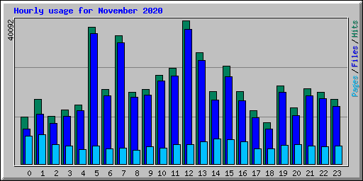 Hourly usage for November 2020
