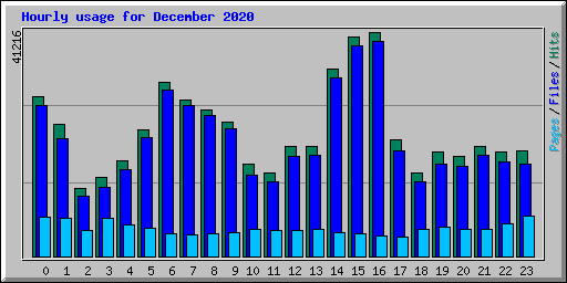 Hourly usage for December 2020