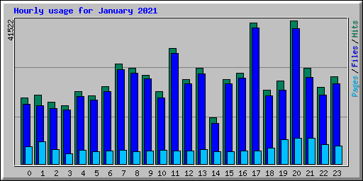 Hourly usage for January 2021