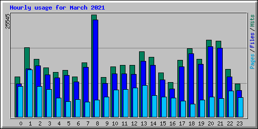 Hourly usage for March 2021