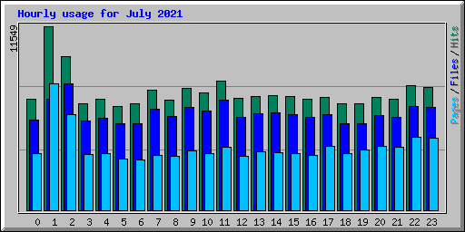Hourly usage for July 2021