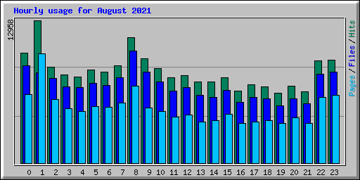 Hourly usage for August 2021