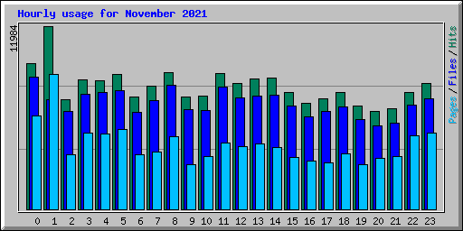 Hourly usage for November 2021