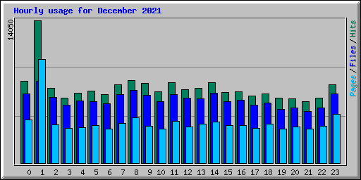 Hourly usage for December 2021