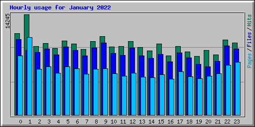 Hourly usage for January 2022