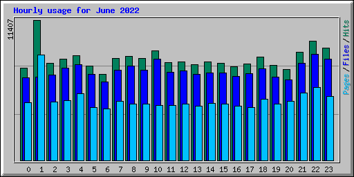 Hourly usage for June 2022