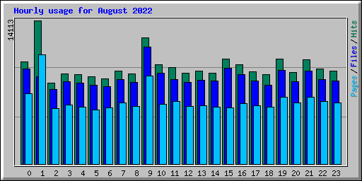 Hourly usage for August 2022