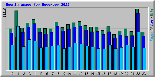 Hourly usage for November 2022