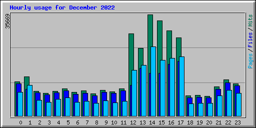 Hourly usage for December 2022