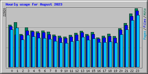 Hourly usage for August 2023