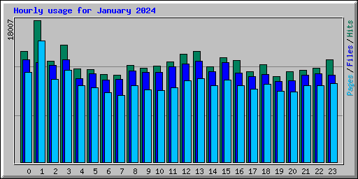 Hourly usage for January 2024