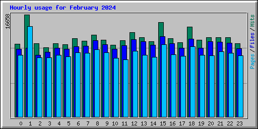 Hourly usage for February 2024