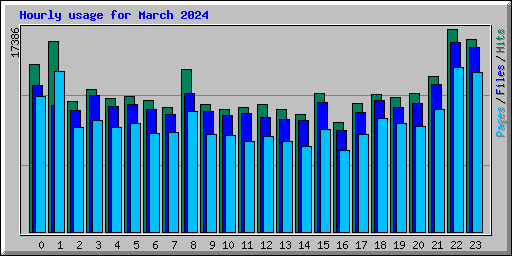 Hourly usage for March 2024