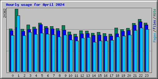 Hourly usage for April 2024