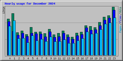 Hourly usage for December 2024