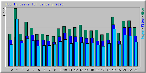 Hourly usage for January 2025