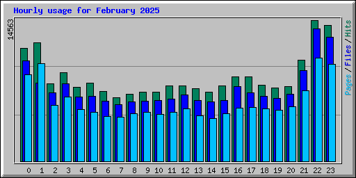 Hourly usage for February 2025