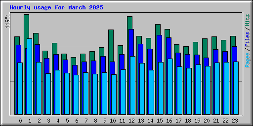 Hourly usage for March 2025