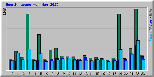 Hourly usage for May 2025