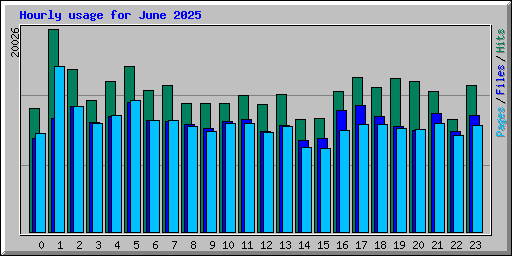 Hourly usage for June 2025