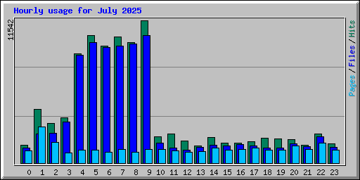 Hourly usage for July 2025