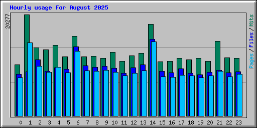 Hourly usage for August 2025